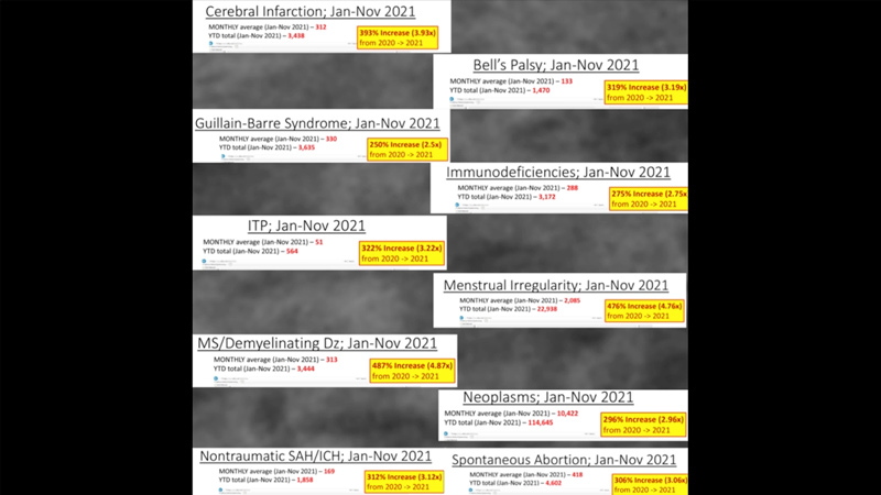 The Documents: See the Leaked DOD Database Showing US Military Illness Skyrocketing From Covid Jab