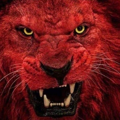 Q anon76⭐⭐⭐⭐⭐® on Gab: BREAKING: Man who rammed his car into a Canadian … - Gab Social