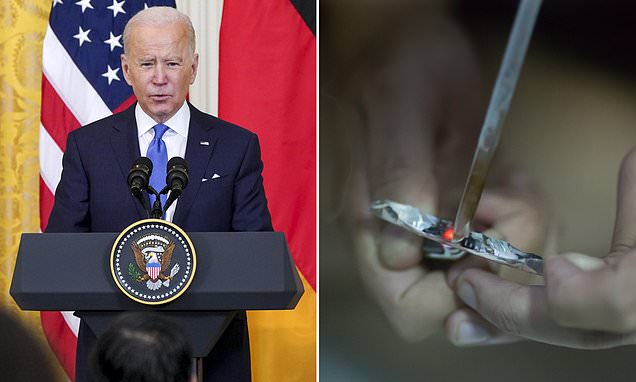 Biden administration to fund handing out crack pipes to addicts to improve 'racial equity' | Daily Mail Online