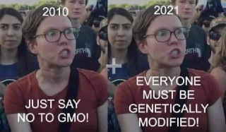 Telegram: Contact @davecoles