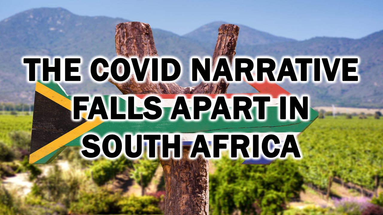 The Covid Narrative Falls Apart in South Africa – The Expose