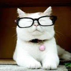 Catturd on Gab: The government of Canada didn’t mind shutting cit… - Gab Social
