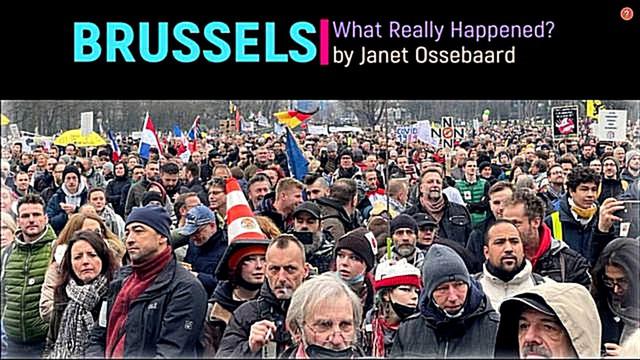 BRUSSELS - WHAT REALLY HAPPENED?