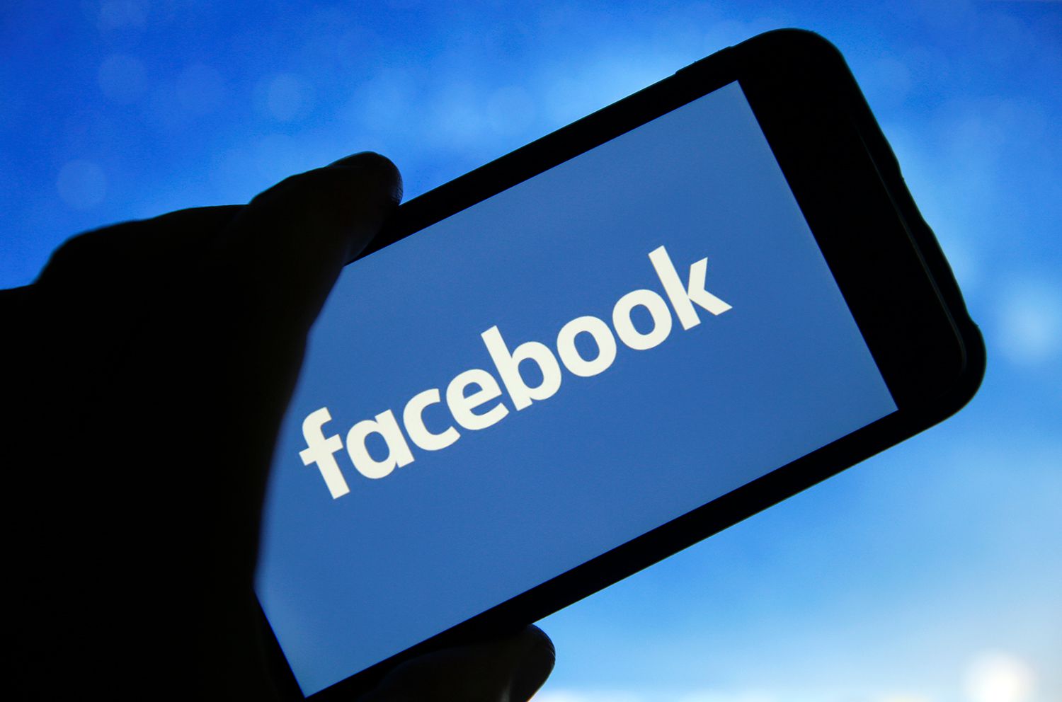 Top Facebook (Meta) Shareholders