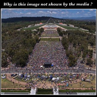 Telegram: Contact @davecoles