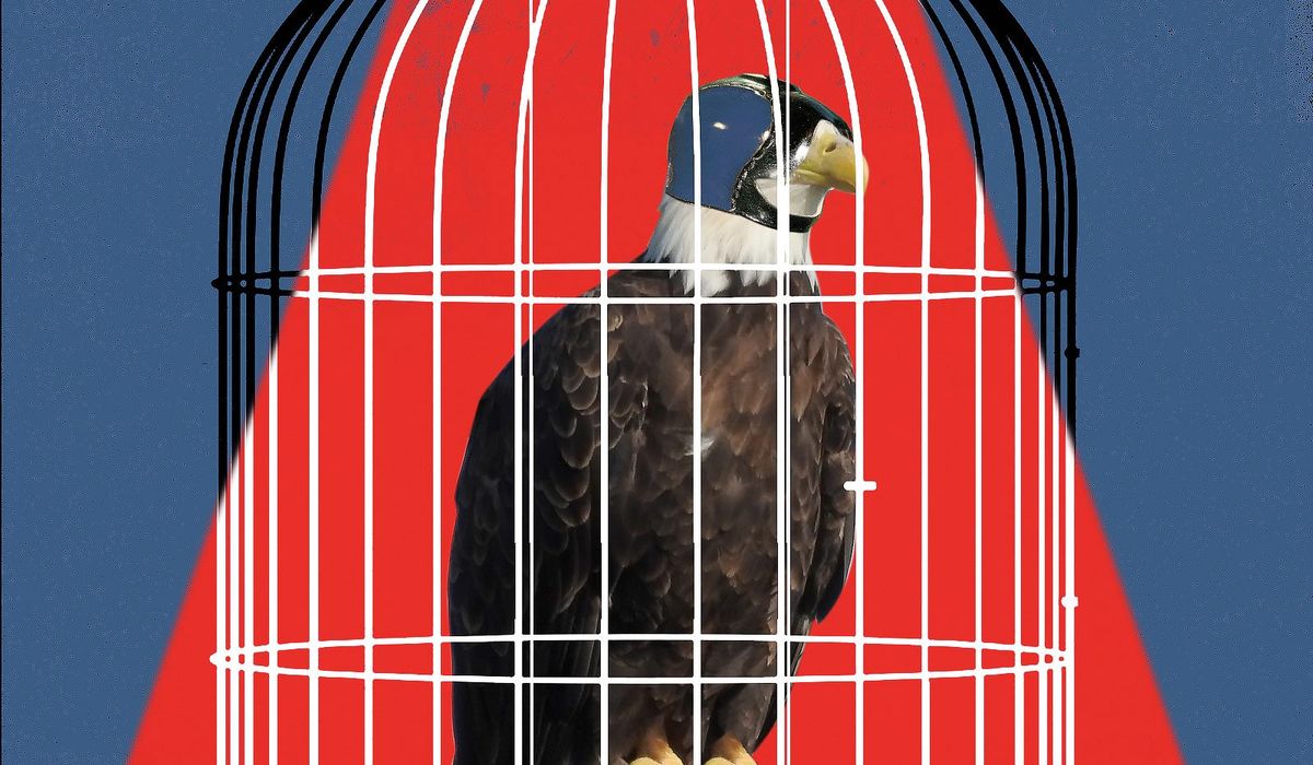 tombasile on GETTR: READ Tom's latest column for #TheWashingtonTimes - For 30 years we’ve stirred a simmering pot, thickening a wicked brew for the sake of Americans’ unquenchable desire for cheaper goods and greater profits. Whether #Russia invades #Ukraine, or whether #China invades Taiwan or not, America’s perceived weakness has forged an alliance between those powers that will last for decades. #Ukraine #Putin #Biden  https://www.washingtontimes.com/news/2022/feb/11/2022-olympics-will-mark-moment-china-and-russia-jo/