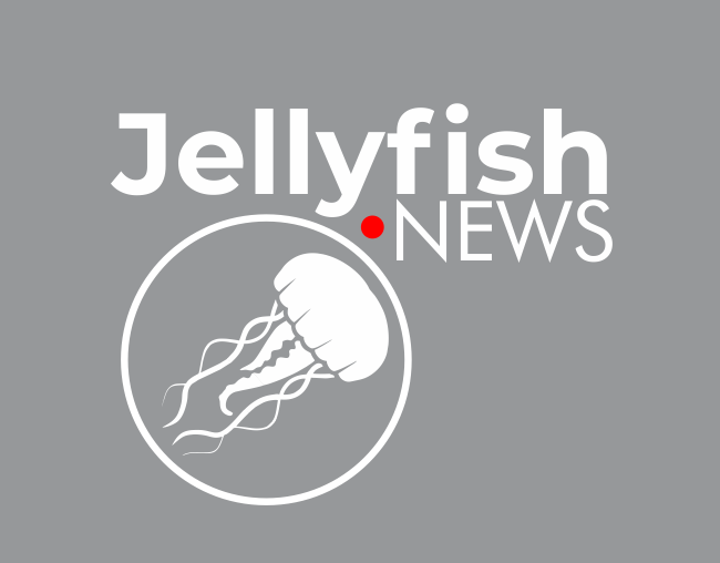 The New World Order (NWO)An Overview - Jellyfish.NEWS - World News