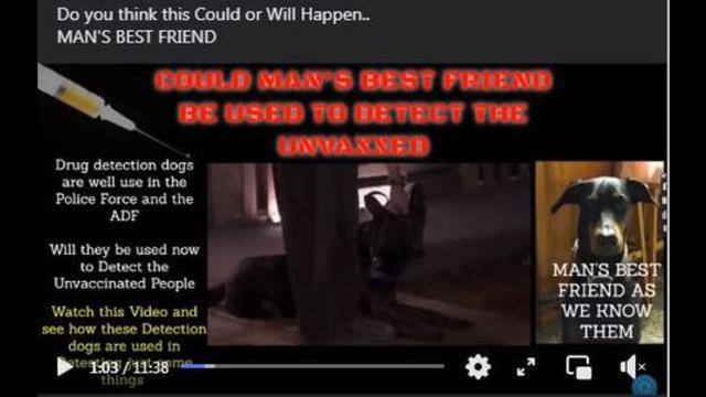 WILL THEY USE MANS BEST FRIEND