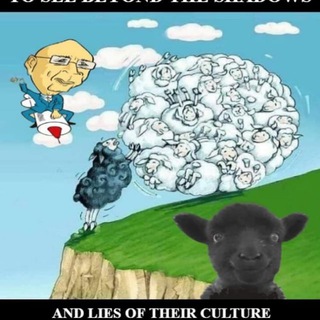 Telegram: Contact @davecoles