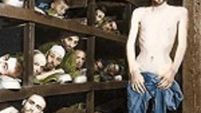 Nazi Concentration Camps (1945)