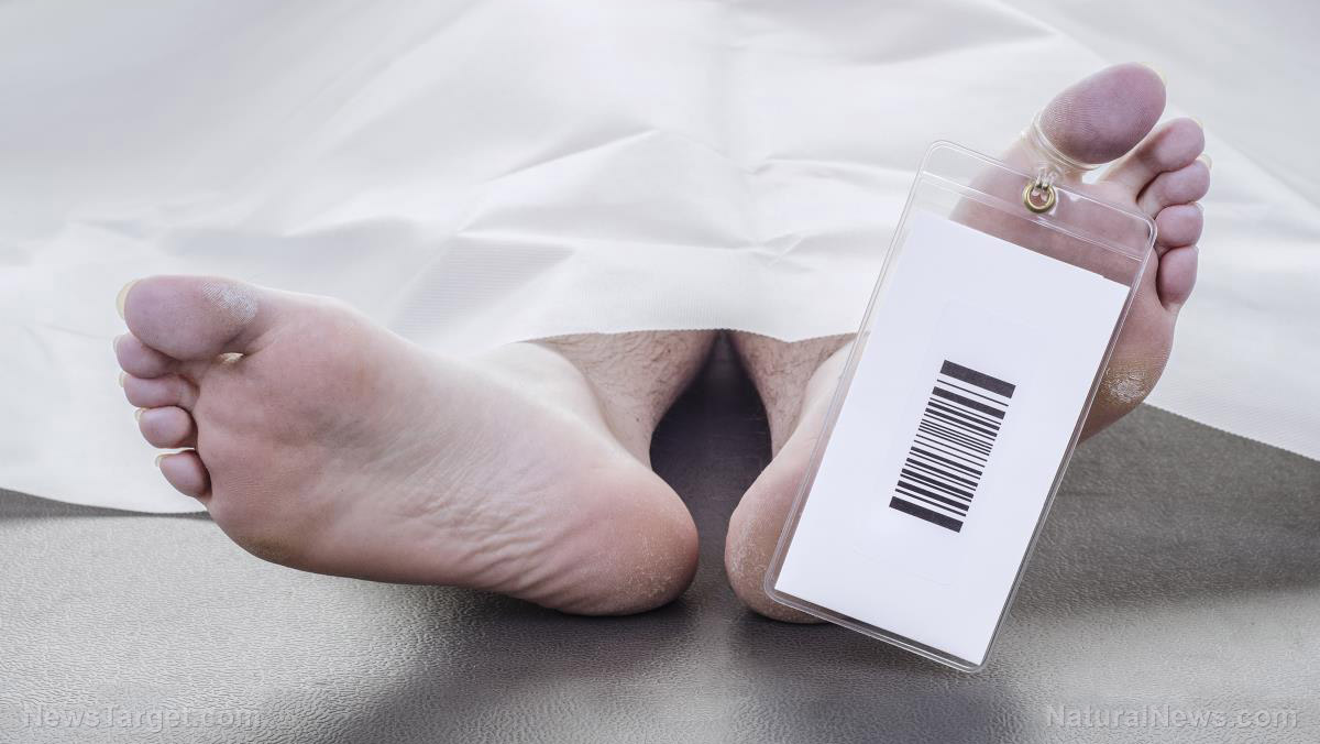 Embalming Specialist finds bizarre, rubbery blood clots in bodies of the vaccinated – Europe Renaissance