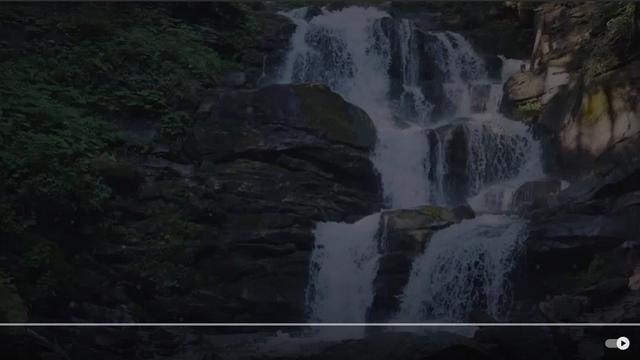 ⭐⭐⭐ NATURES FREQUENCIES⭐⭐⭐ BUSINESS PROMO OVERVIEW⭐⭐⭐ - CHECK IT OUT✅?