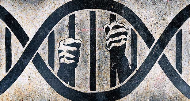 Crimes Against Humanity - Arrests Happening? - Rotter News