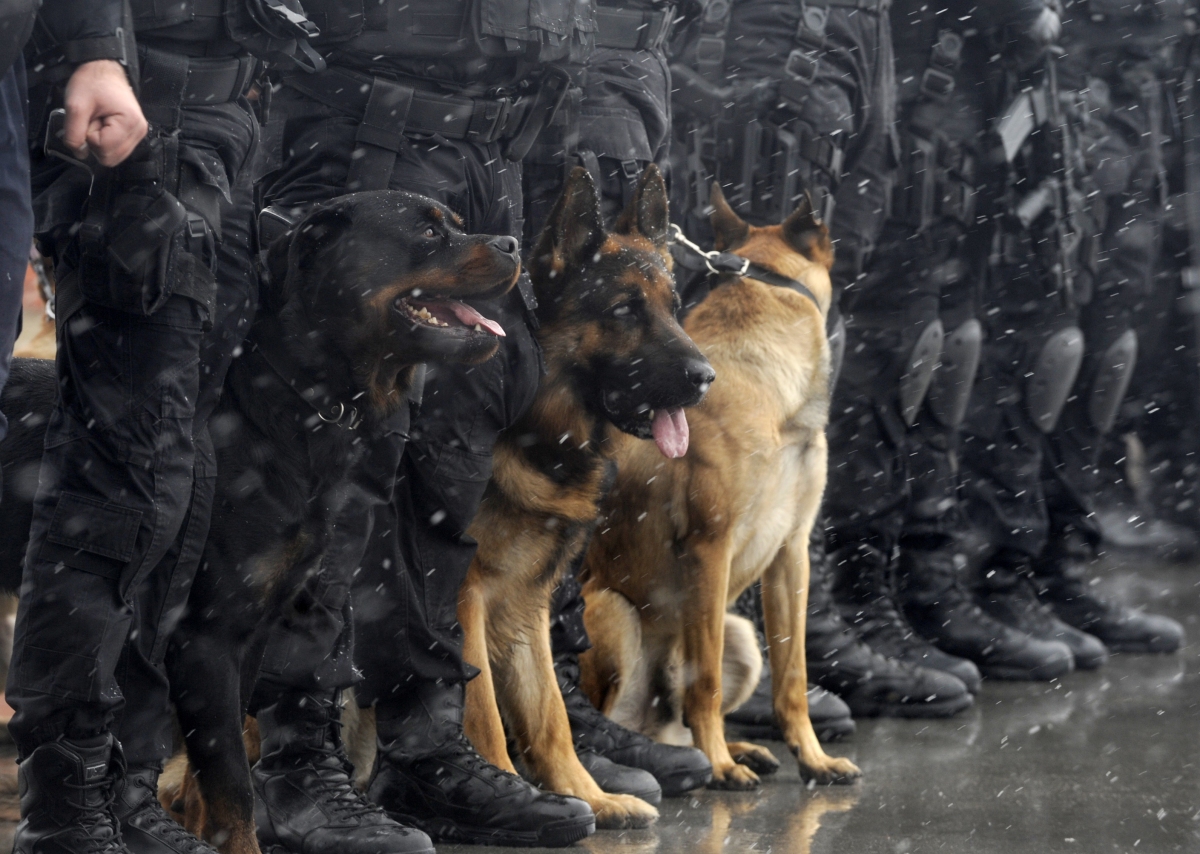 German STASI agents crack down on any who offend politicians – Europe Renaissance