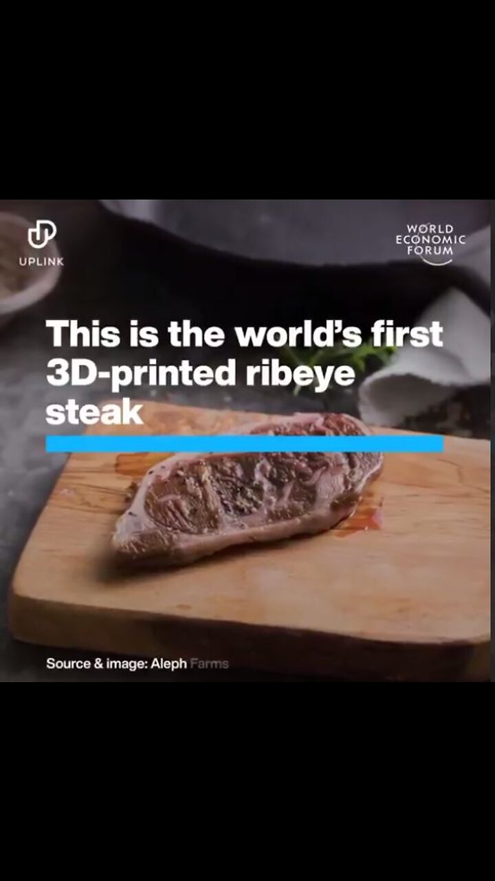 WEF 3D-Printed Meat