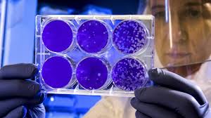 How is the medical industry constantly inventing epidemics and making billions at the expense of the population? – World-Signals News