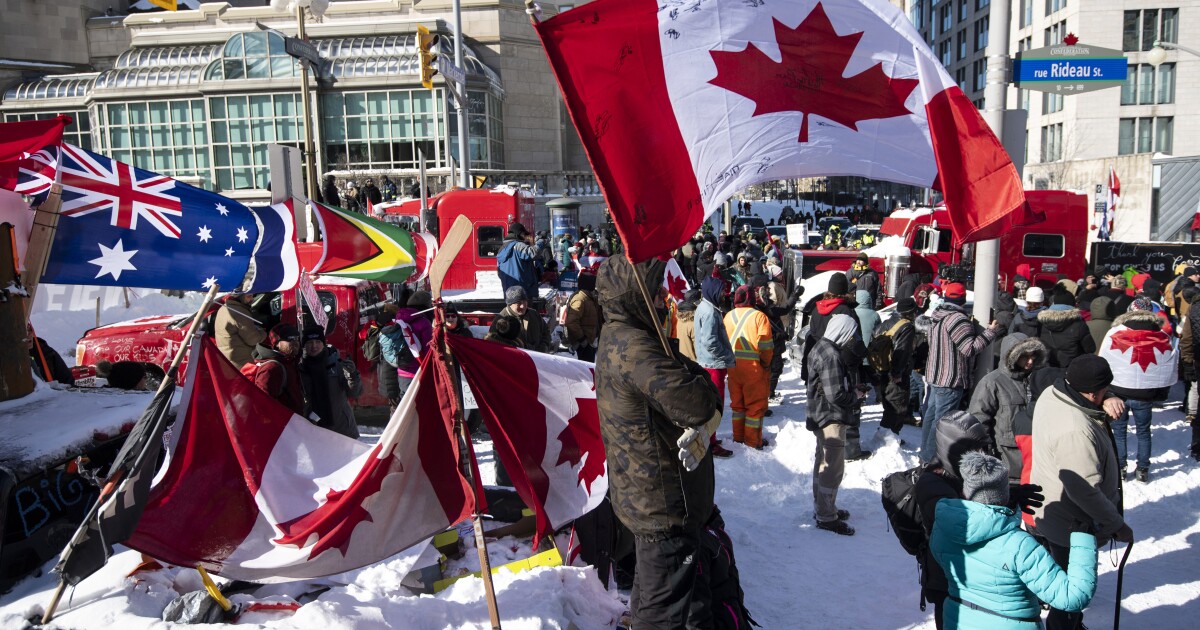 Organizer of Canada 'Freedom Convoy' protest denied bail | Washington Examiner