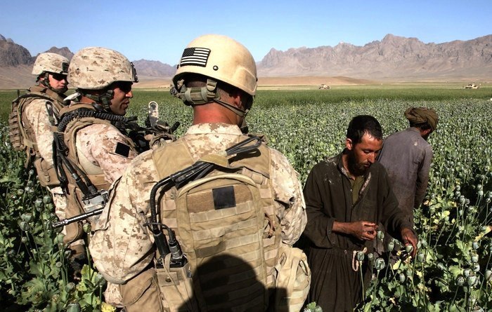 The Taliban have banned poppy cultivation in Afghanistan – World-Signals News