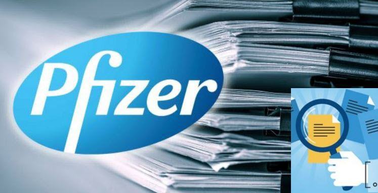 Abstractor Tool to Search all Pfizer Docs – Journey to a Better Life