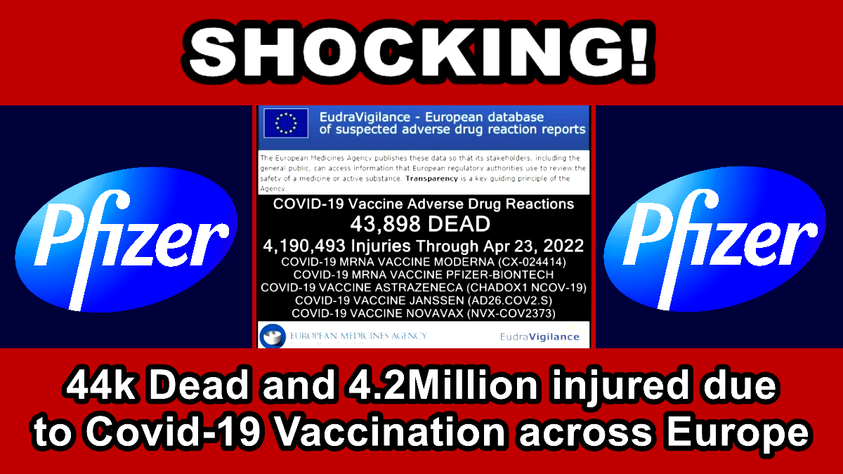 SHOCKING  44k Dead and 4.2Million injured due to Covid-19 Vaccination across Europe  The Expose
