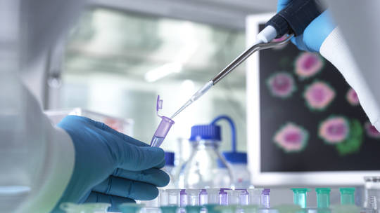 Russia presents new evidence on Ukraine biolabs, comments on links to Biden and US | Cuba Si