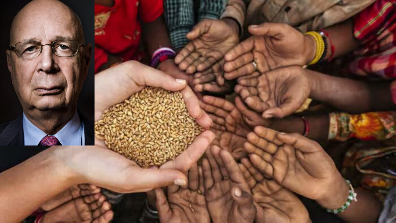 Rockefeller Foundation President: “A massive, immediate food crisis is coming in the next …” – World-Signals News