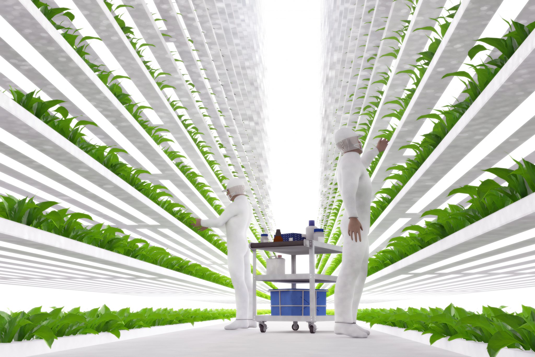 NEW Controlled Food System Is Now In Place And They Will Stop At Nothing To Accelerate Their Control - coreysdigs.com
