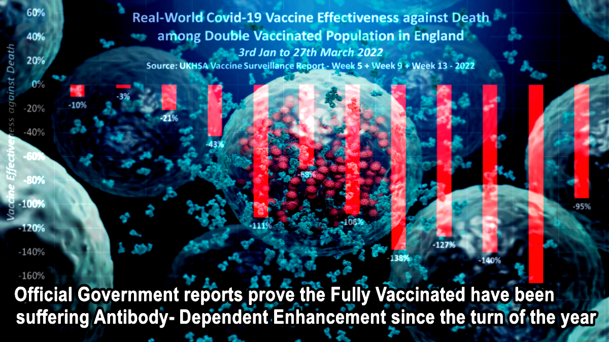 Official Government reports prove the Fully Vaccinated have been suffering Antibody- Dependent Enhancement since the turn of the year – The Expose
