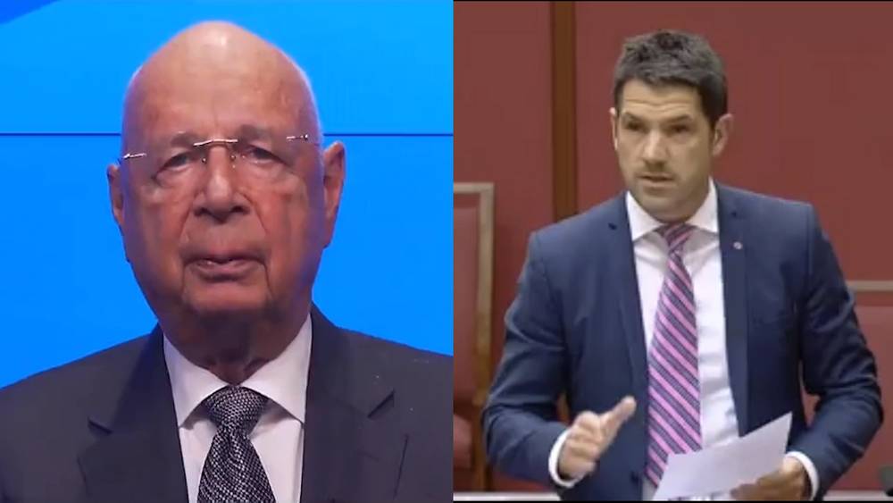 Australian Senator Drops Klaus Schwab / WEF Truth Bombs In Parliament