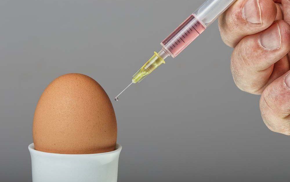 It is the turn of GMO eggs without labeling and without risk assessment – World-Signals News