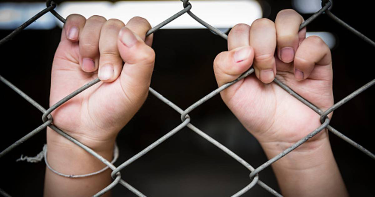 Putin meldt: “35.000 kinderen bevrijd uit de klauwen van pedofiele mensenhandelaars.” | De Binnenlandsche Bataafsche Courant