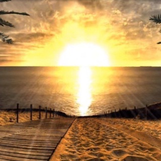 Telegram: Contact @post_videos_here