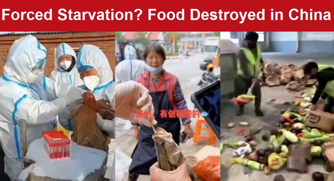 Destruction of Food Begins in Shanghai with Fences Installed to Keep People Locked Down