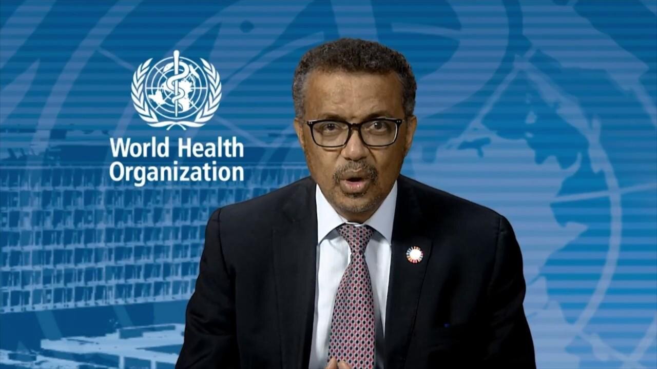 One World Government: The WHO Pandemic Treaty Spells The End For Democracy [VIDEO]