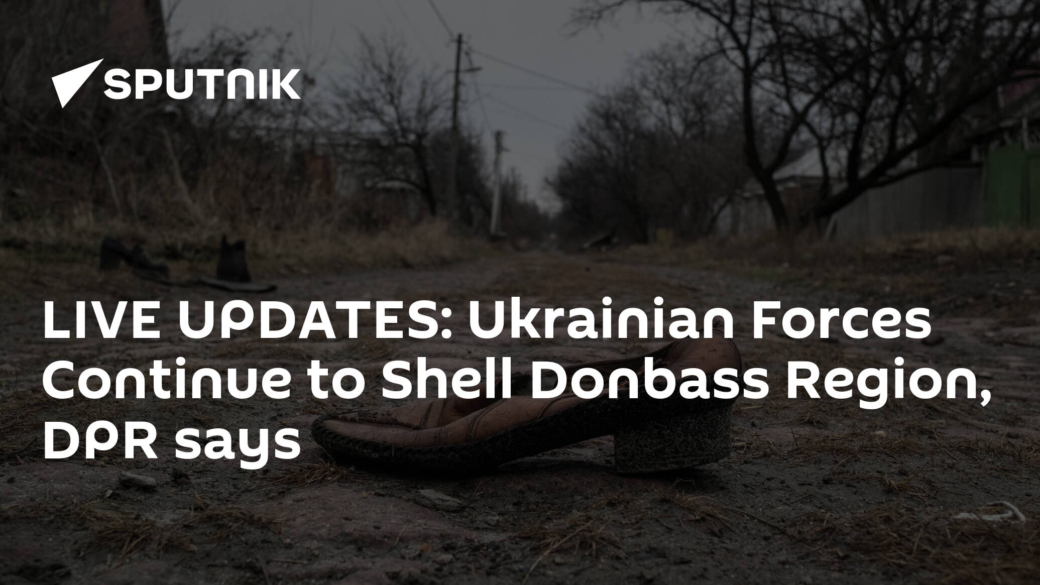 LIVE UPDATES: Ukrainian Forces Continue to Shell Donbass Region, DPR says - 24.04.2022, Sputnik International