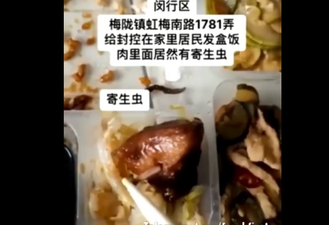 After the mass famine in Shanghai, authorities began poisoning them with spoiled food – World-Signals News