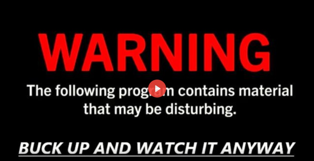 Project Groomer: Exposing the Secret Plan to Brainwash Your Kids – Informative MG