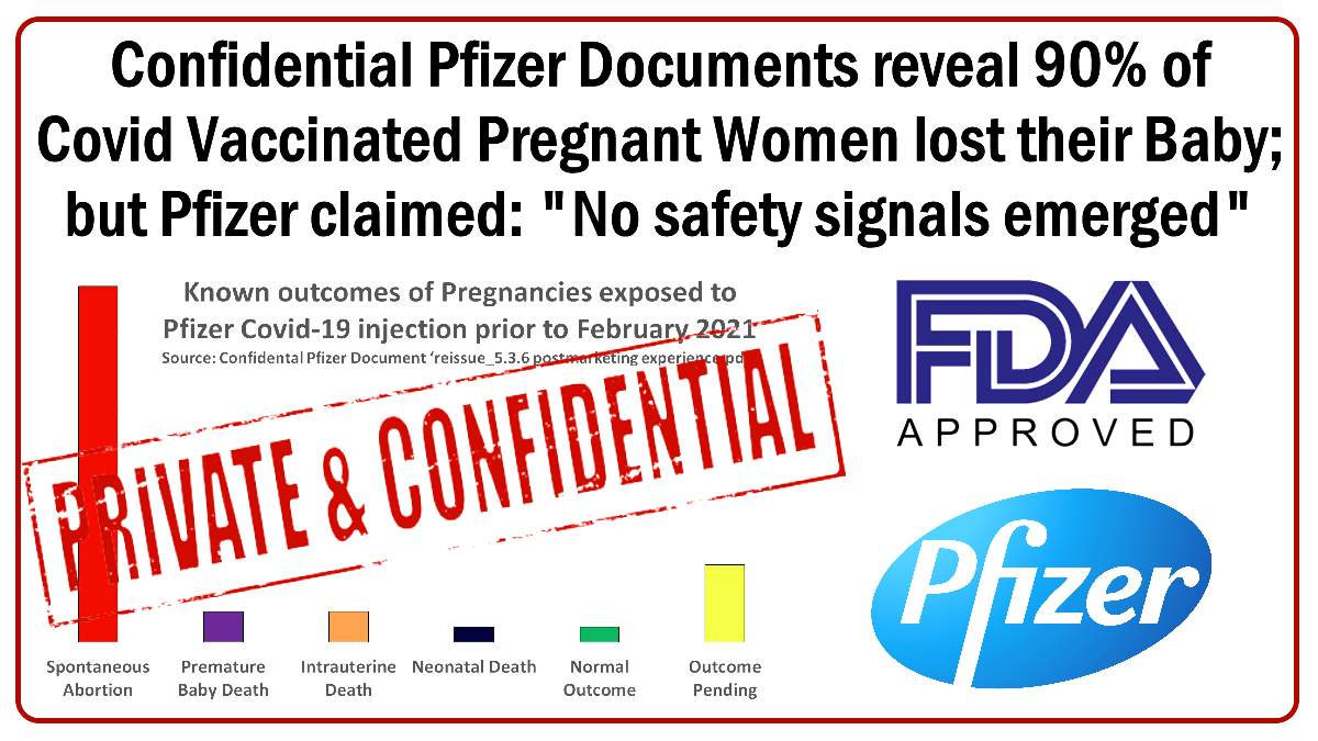 Confidential Pfizer Docs. reveal 90% of Covid Vaccinated Pregnant Women lost their Baby; but Pfizer claimed: No safety signals emerged  The Expose