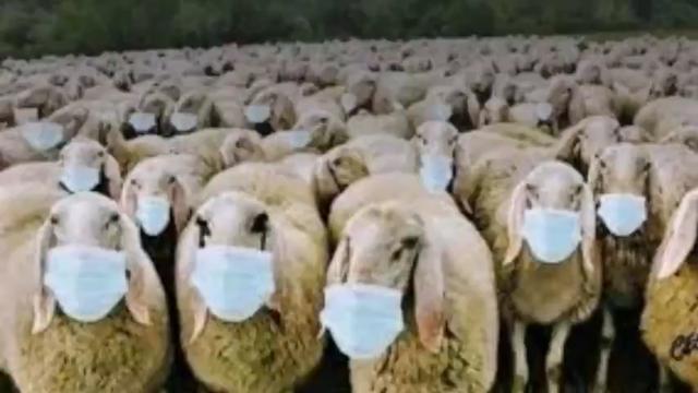 Wake the **** UP
