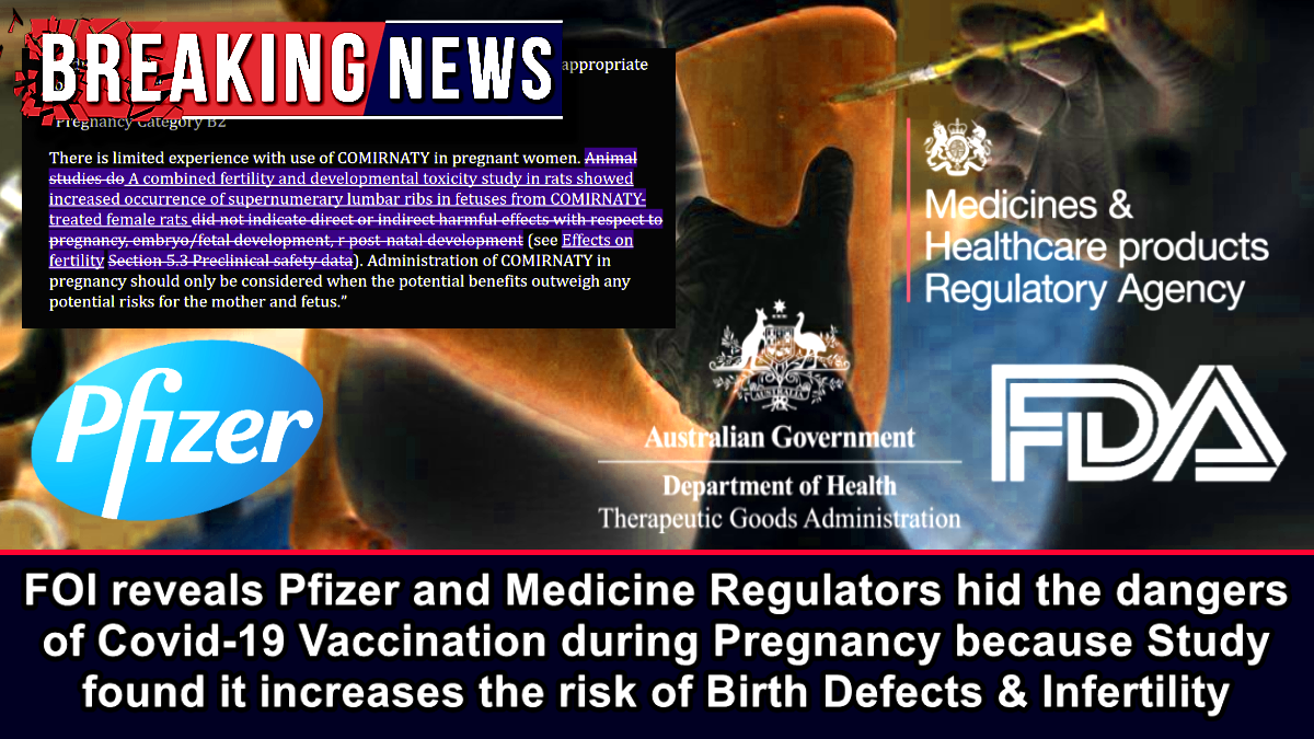 FOI reveals Pfizer and Medicine Regulators hid the dangers of Covid-19 Vaccination during Pregnancy because Study found it increases risk of Birth Defects  Infertility  The Expose