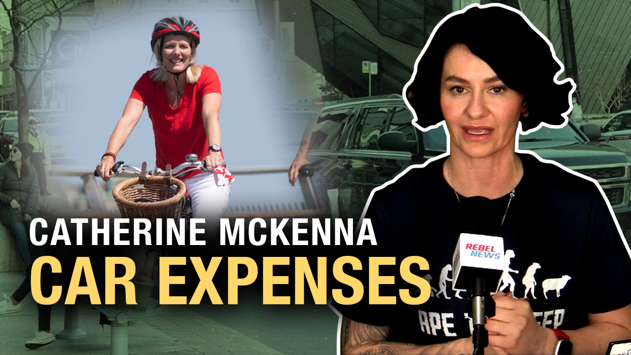 Exclusive: Climate scare ministry blew 150k on chauffeured executive vehicles in four years - Rebel News