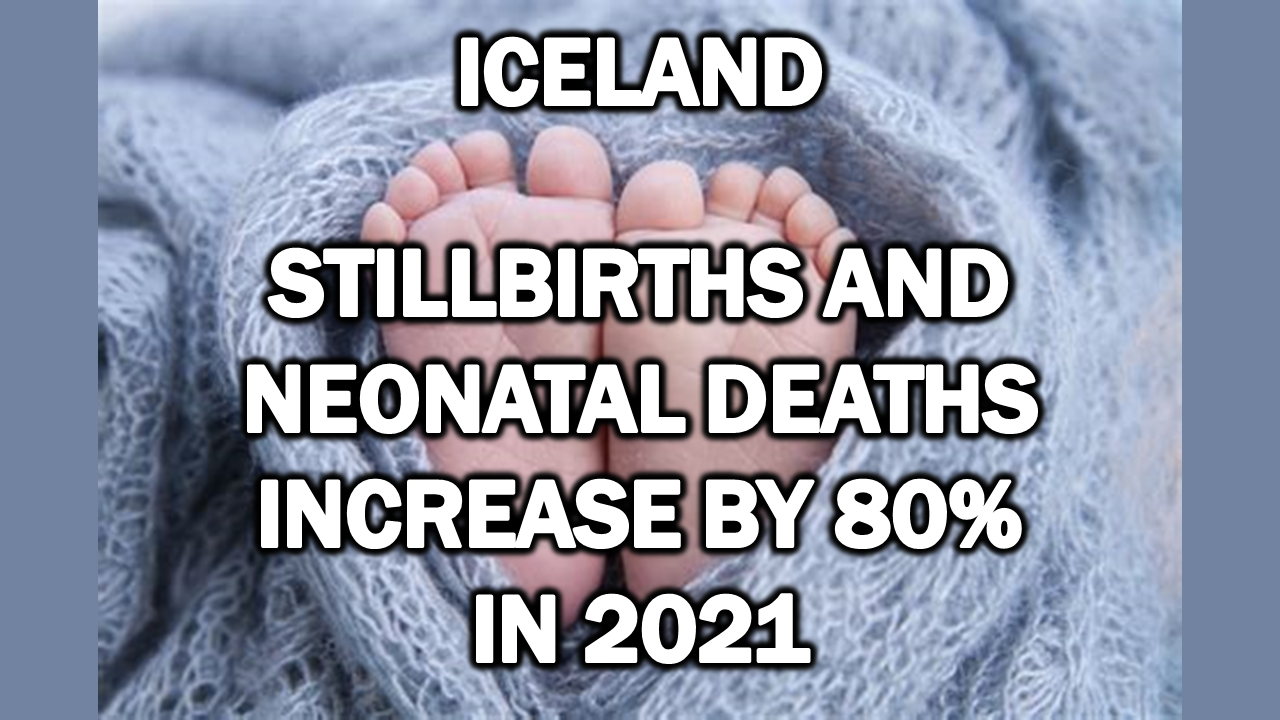 Iceland: Stillbirths and Neonatal Deaths increased by 80% in 2021  The Expose