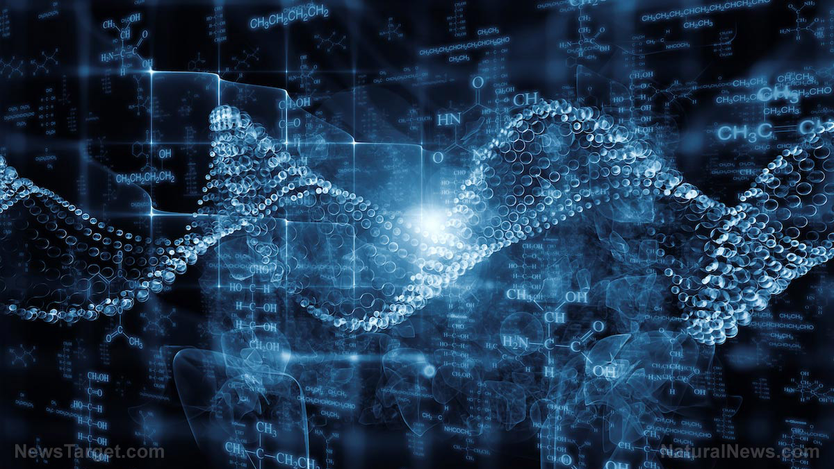 World Economic Forum believes people are “useless eaters,” and views their “brains and bodies” as product that can be hacked, controlled and discarded – NaturalNews.com