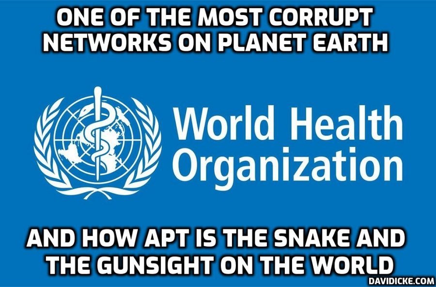 Danger AheadLets Take a Closer Look at the WHO Agenda for the World  David Icke