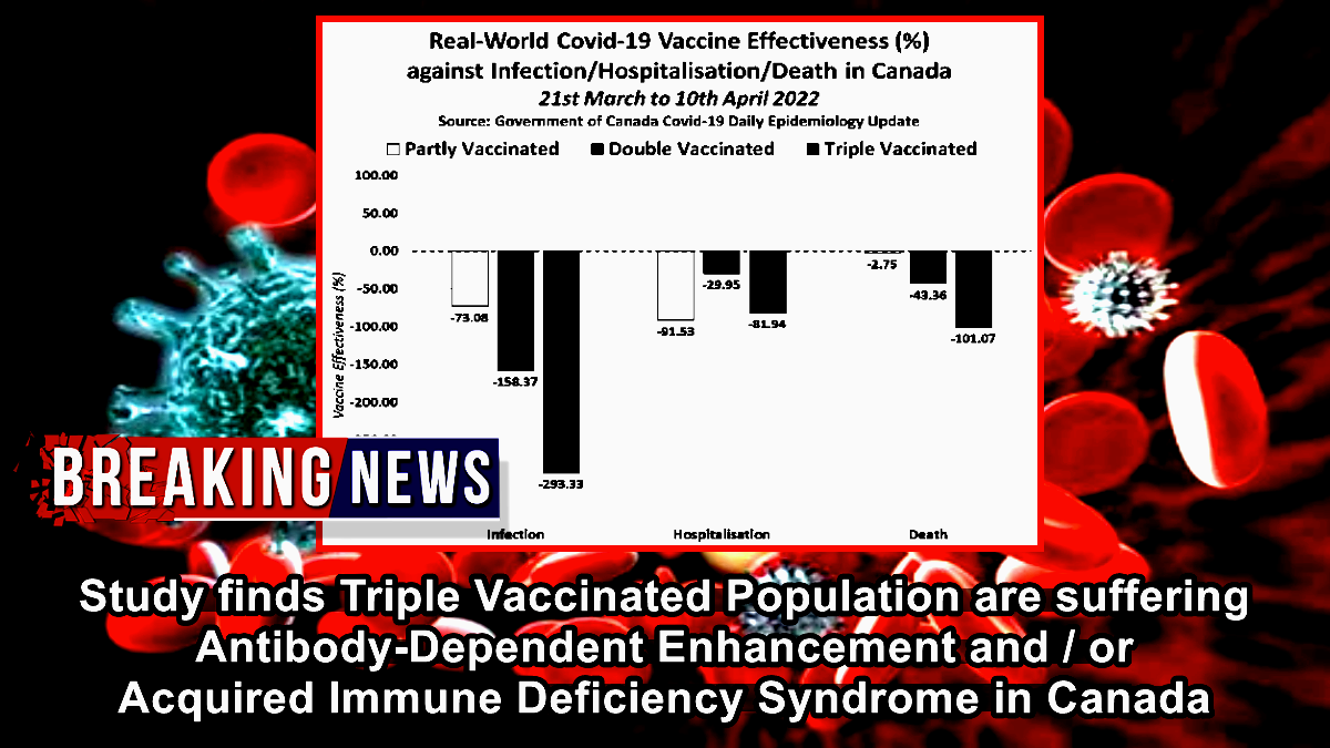 Study finds Triple Vaccinated are suffering Antibody-Dependent Enhancement and/or Acquired Immune Deficiency Syndrome in Canada – The Expose