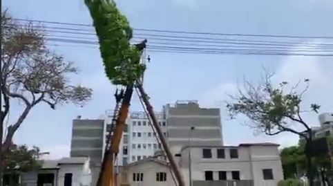 Resistance succeeds, mass destruction of 5G towers – World-Signals News