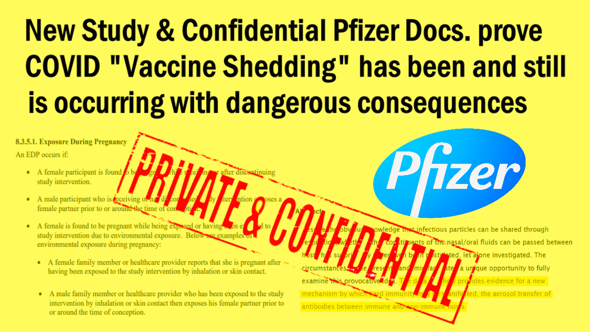 New Study & Confidential Pfizer Docs. prove COVID “Vaccine Shedding” has been and still is occurring with dangerous consequences – The Expose