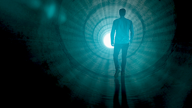 The Neuroscience of Near-Death Experiences  David Icke