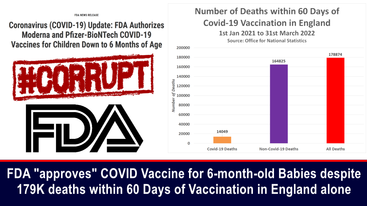 FDA “approves” COVID Vaccine for 6-month-old Babies despite 179K deaths within 60 Days of Vaccination in England alone – The Expose