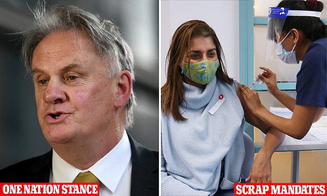 Mark Latham calls for 'abolition' of Covid vaccine mandates amid public health funding debate | Daily Mail Online
